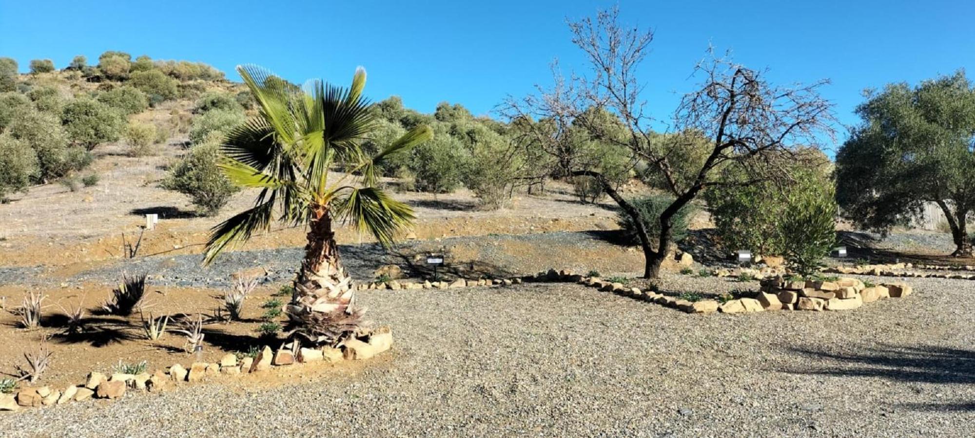 לינה וארוחת בוקר אלורה Casa Ceratonia מראה חיצוני תמונה
